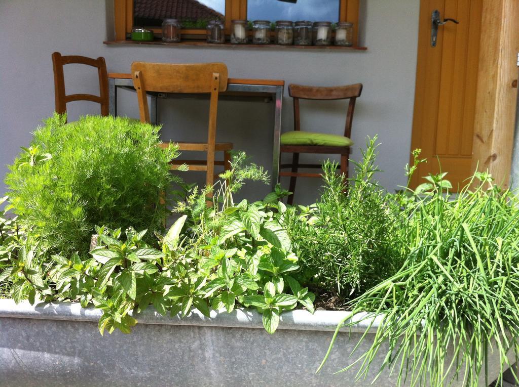 Traubengarten Winkler Niederhollabrunn Pokój zdjęcie
