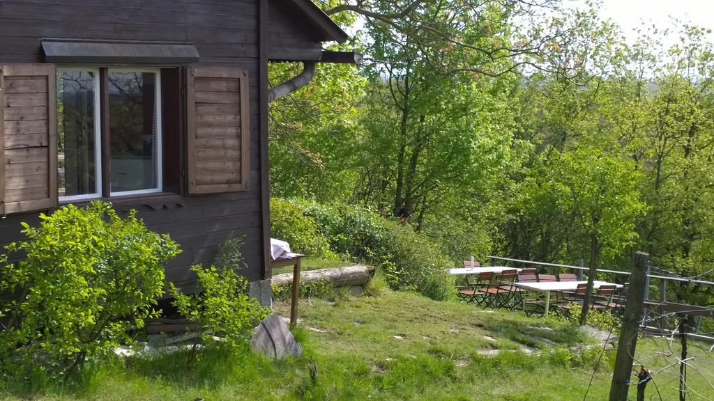 Traubengarten Winkler Niederhollabrunn Zewnętrze zdjęcie