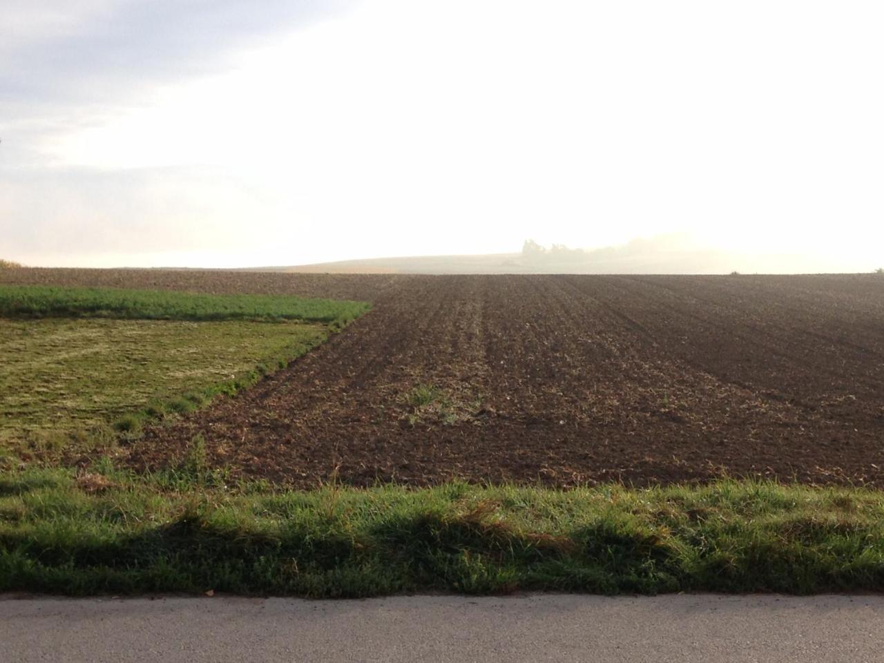 Traubengarten Winkler Niederhollabrunn Zewnętrze zdjęcie